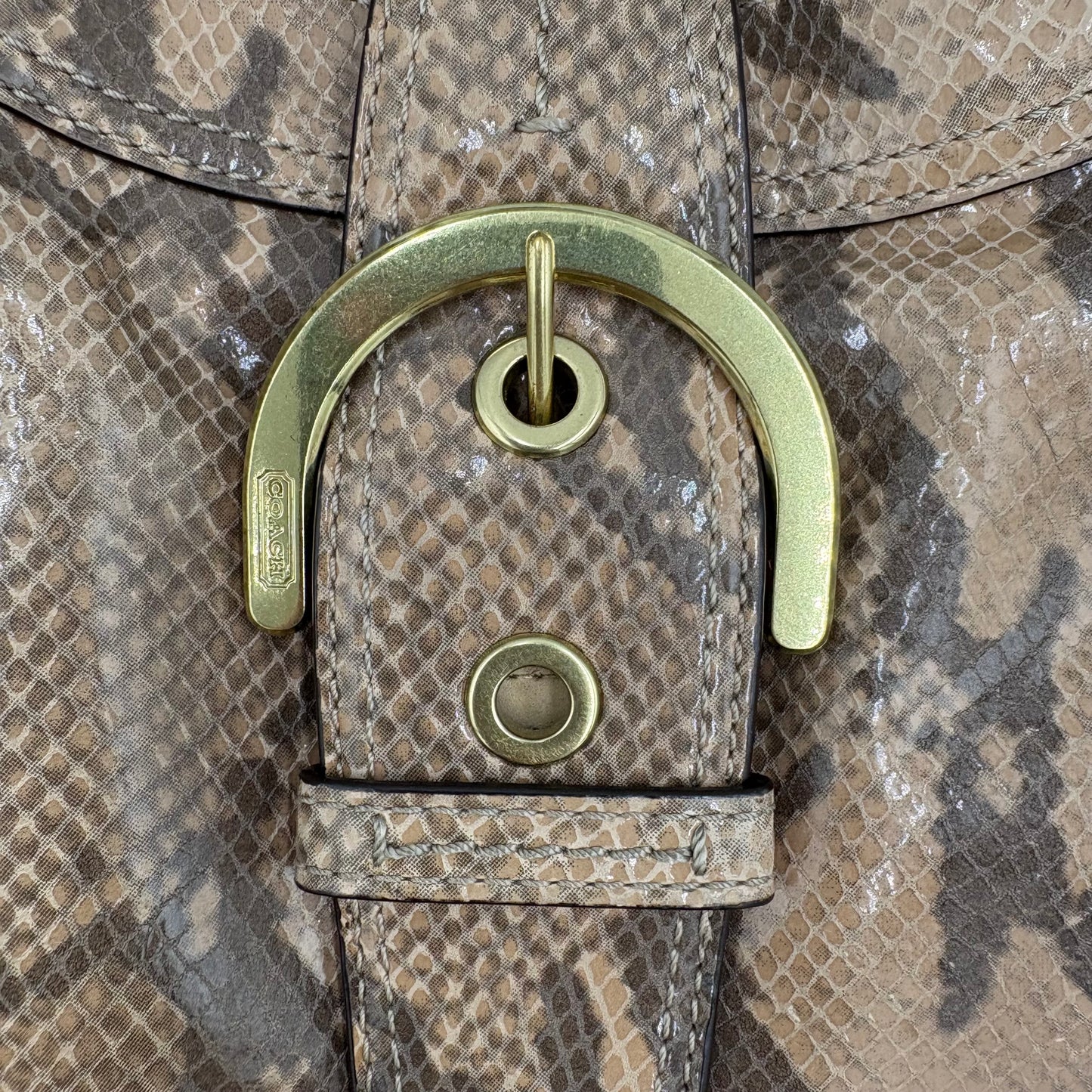 Coach Soho Lynn snakeskin Shoulder Bag