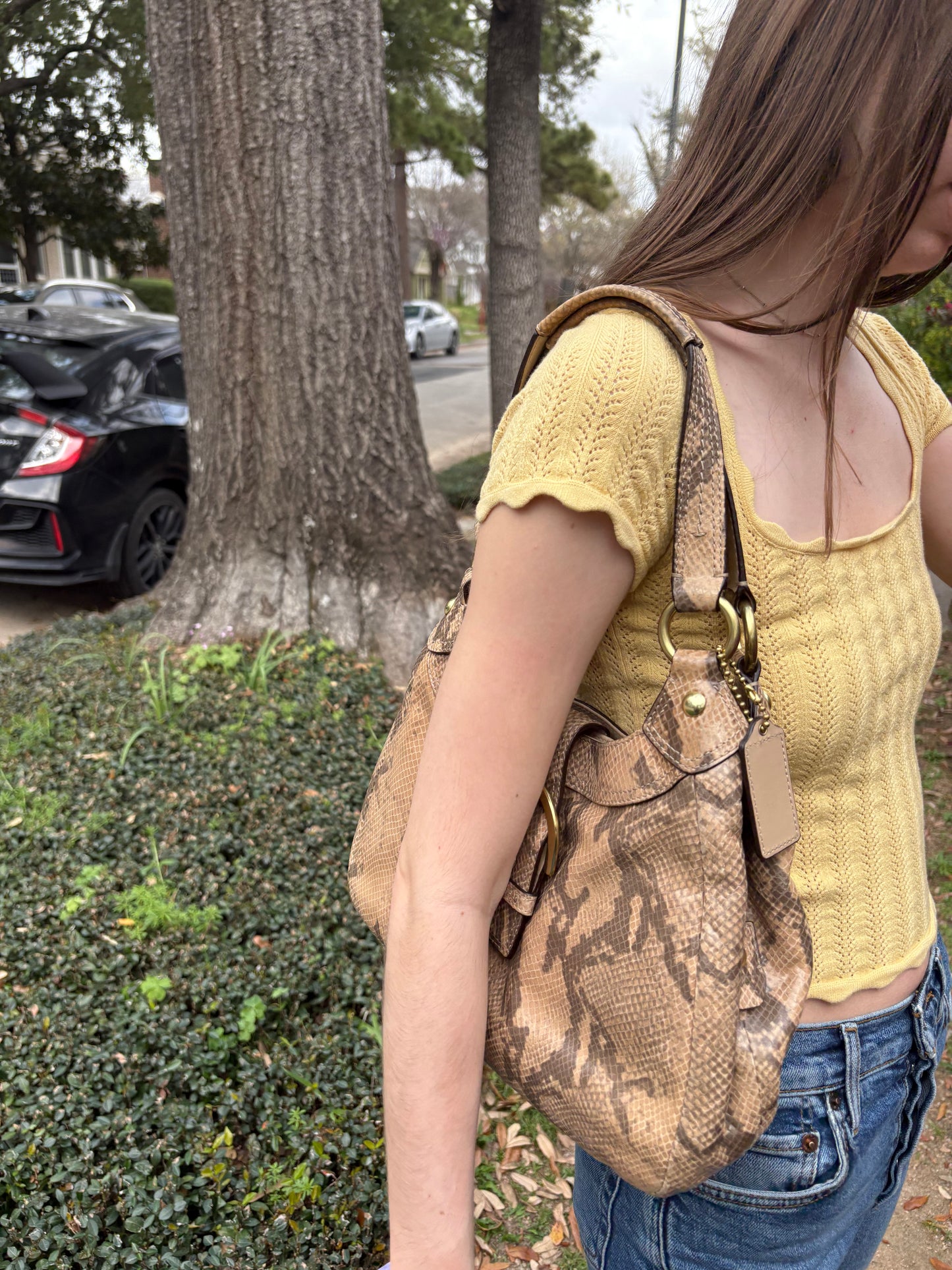 Coach Soho Lynn snakeskin Shoulder Bag