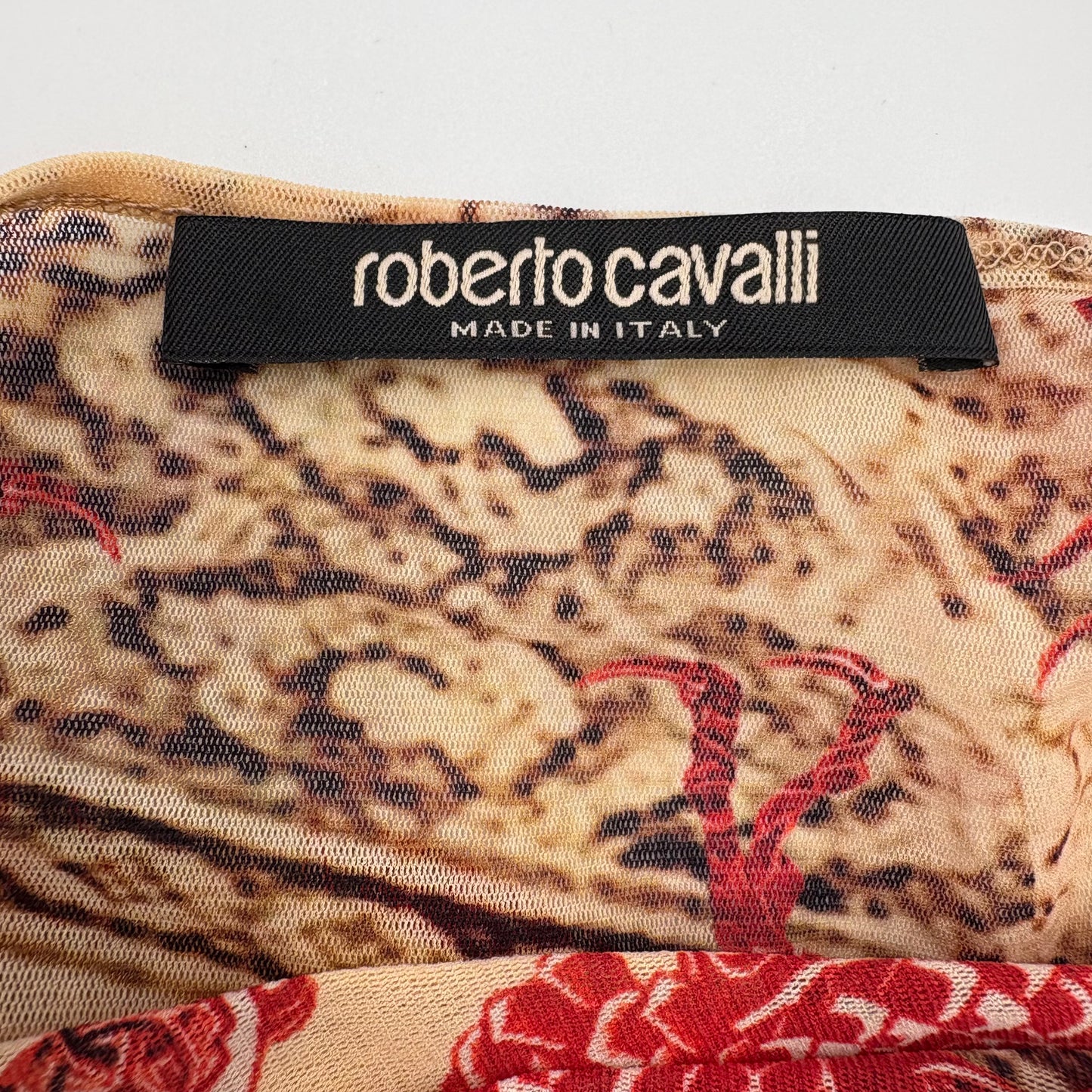 Roberto Cavalli Dragon Print Sheer tank